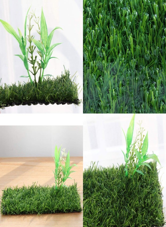 crapelles Small Glass Frog Terrarium Kit, 7.8x7.8x5.9'' for Tadpole, Amphibians, Insects Enclosure, Praying Mantis Habitat, with Green Artificial Turf Pad (excluding Animals) - Image 5